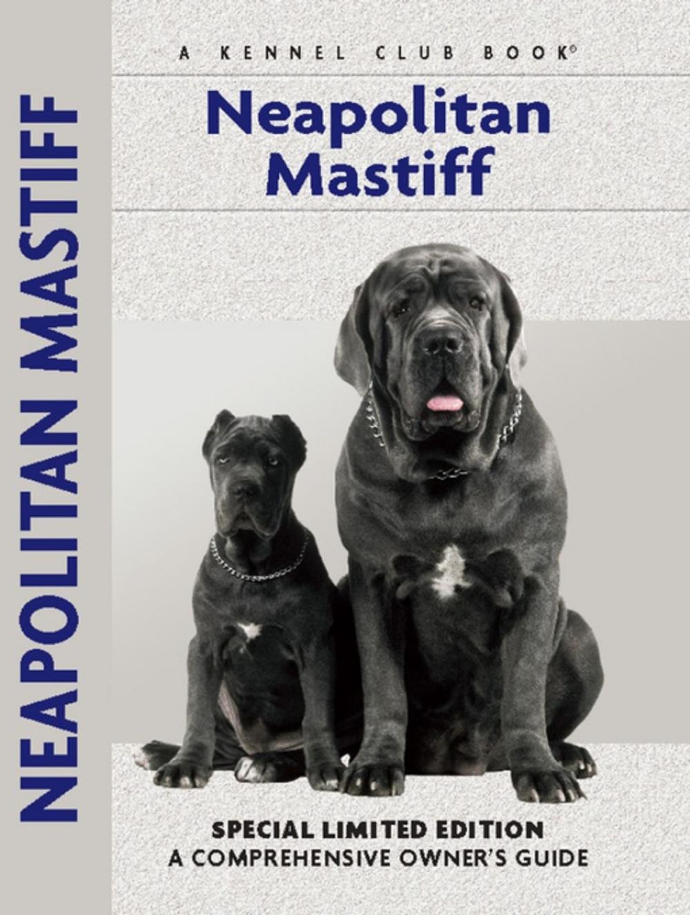 Big bigCover of Neapolitan Mastiff