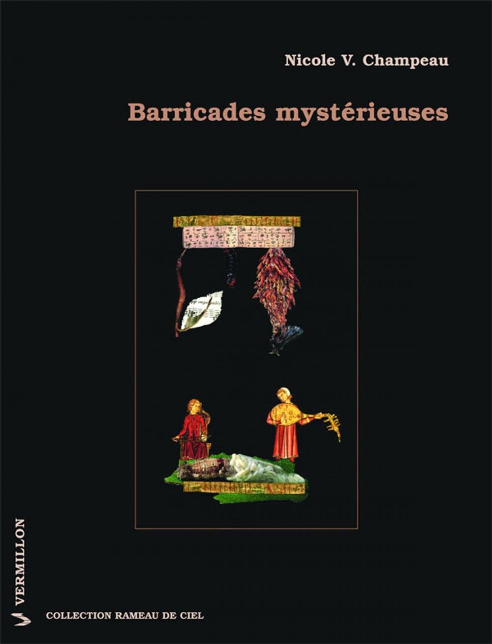 Big bigCover of Barricades mystérieuses