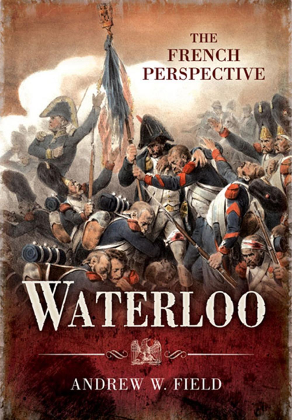 Big bigCover of Waterloo: The French Perspective