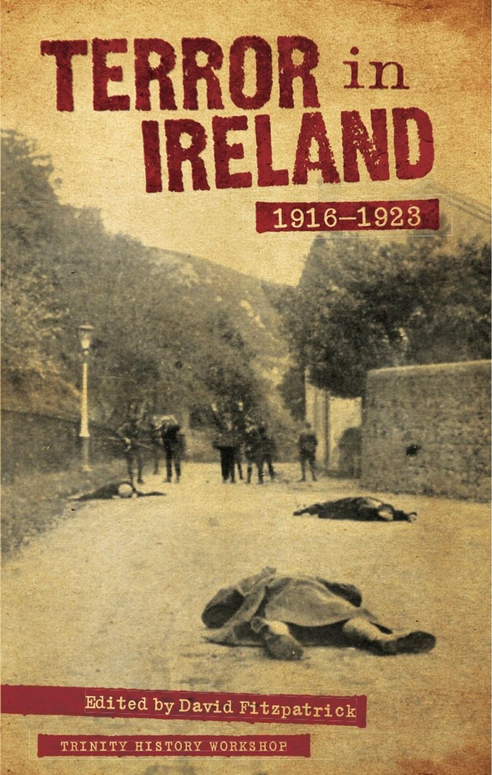 Big bigCover of Terror in Ireland 1916-1923