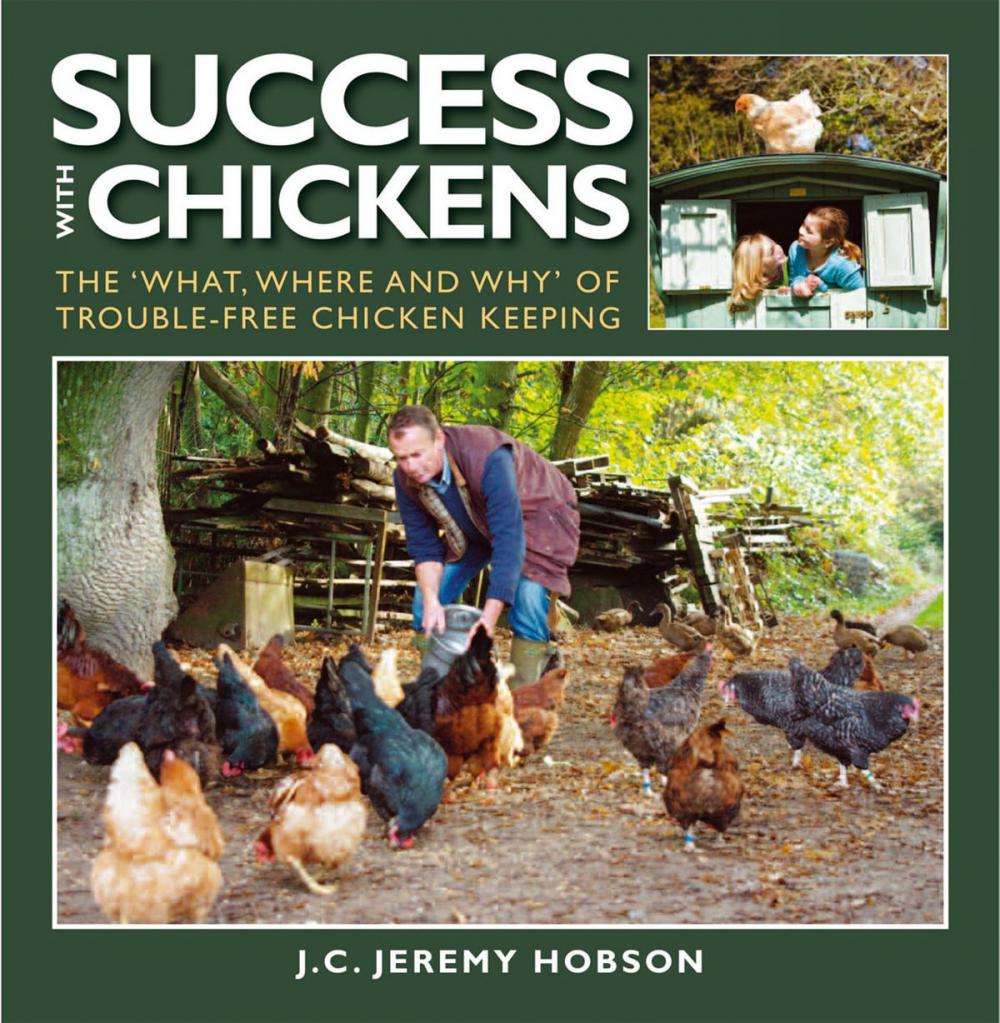 Big bigCover of SUCCESS WITH CHICKENS