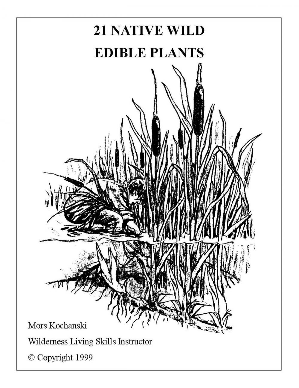 Big bigCover of 21 Native Wild Edible Plants