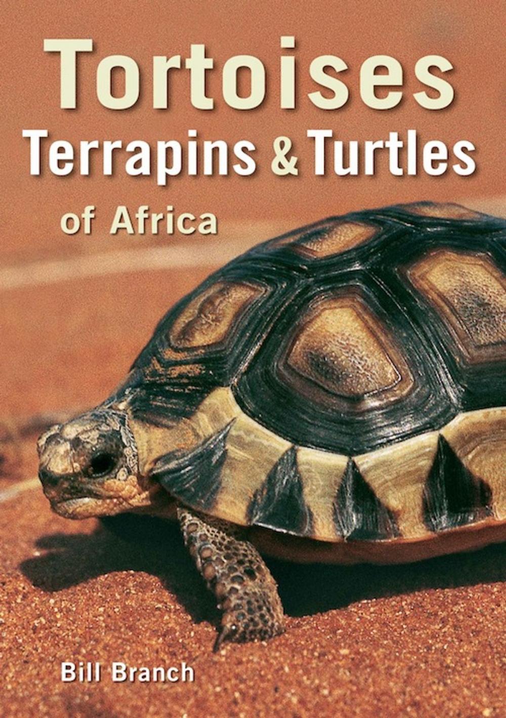 Big bigCover of Tortoises, Terrapins & Turtles of Africa