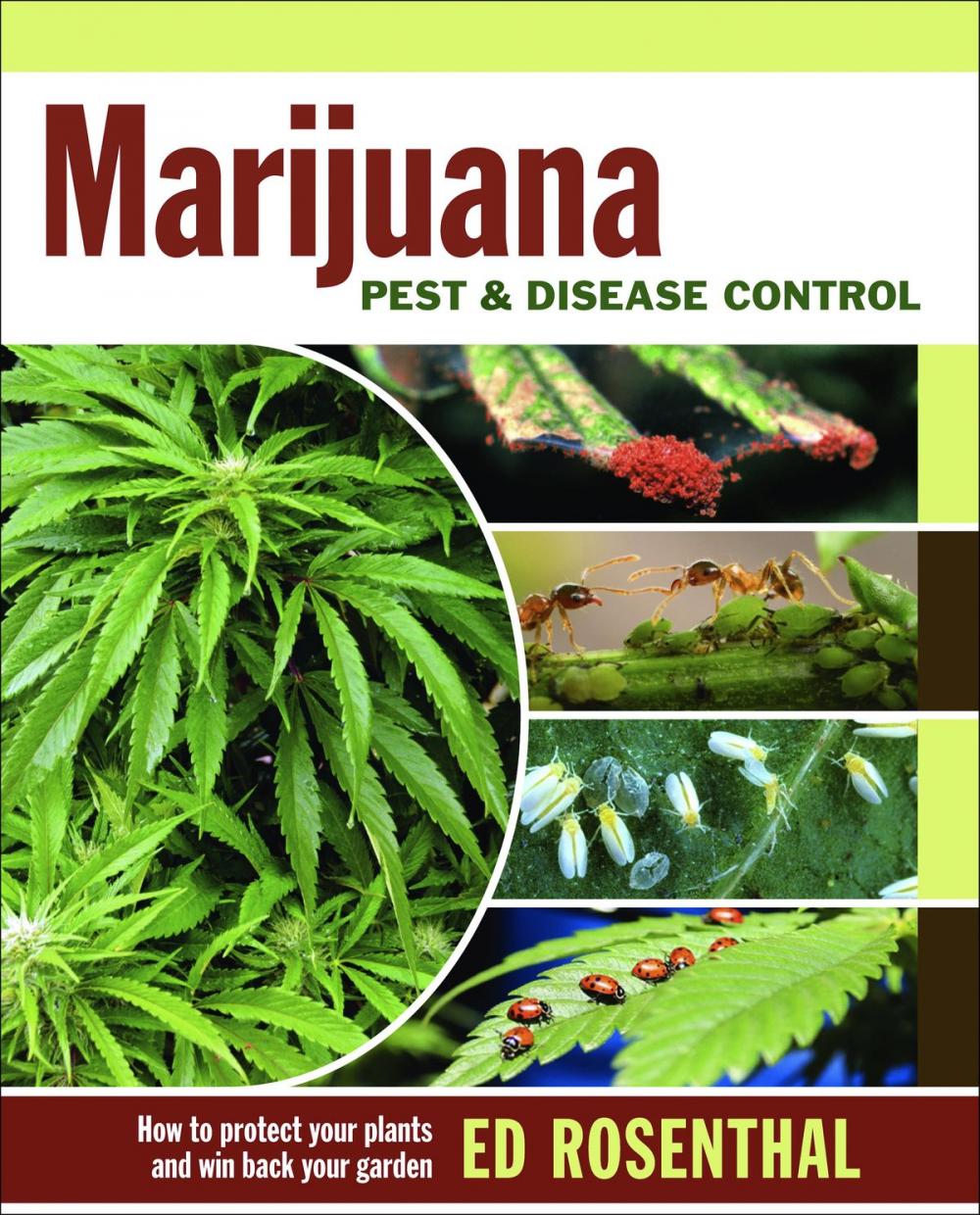 Big bigCover of Marijuana Pest and Disease Control