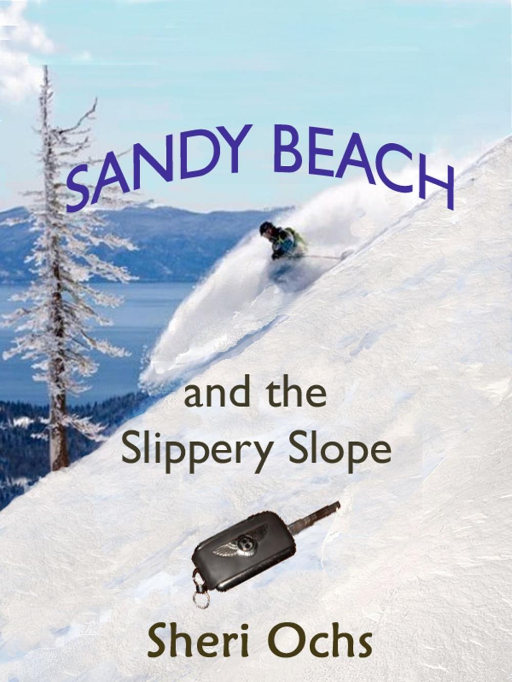 Big bigCover of Sandy Beach and the Slippery Slope
