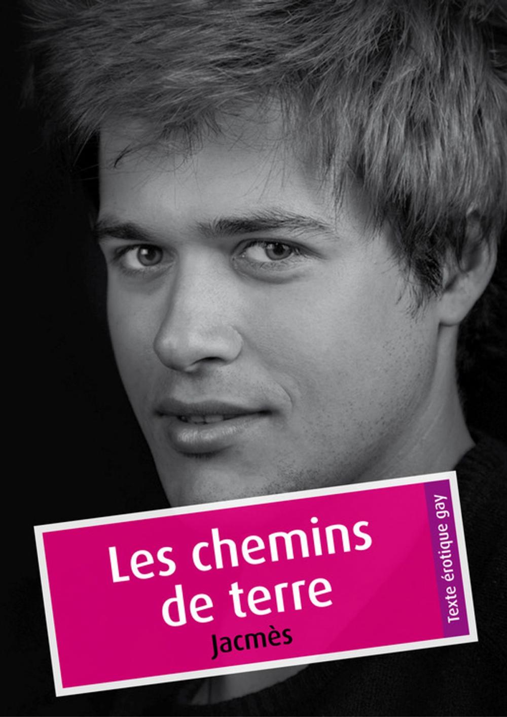 Big bigCover of Les chemins de terre (érotique gay)