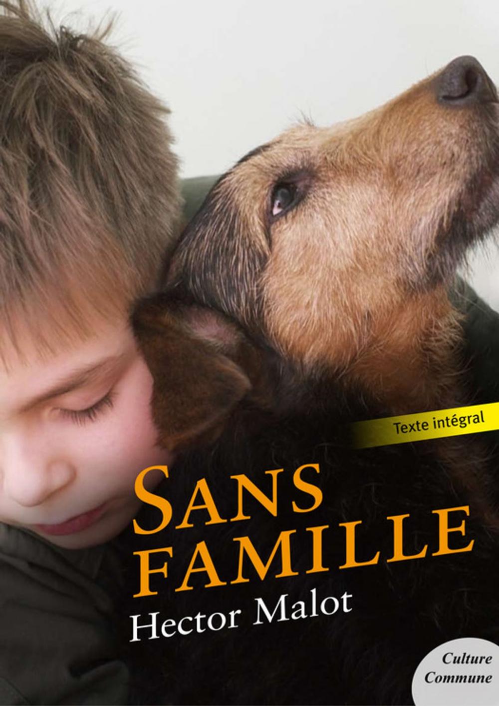 Big bigCover of Sans famille