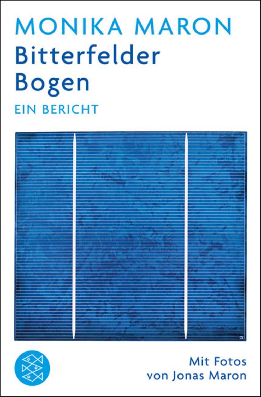 Big bigCover of Bitterfelder Bogen