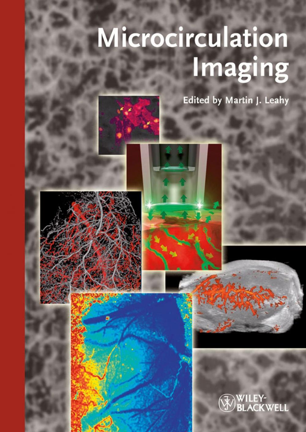 Big bigCover of Microcirculation Imaging