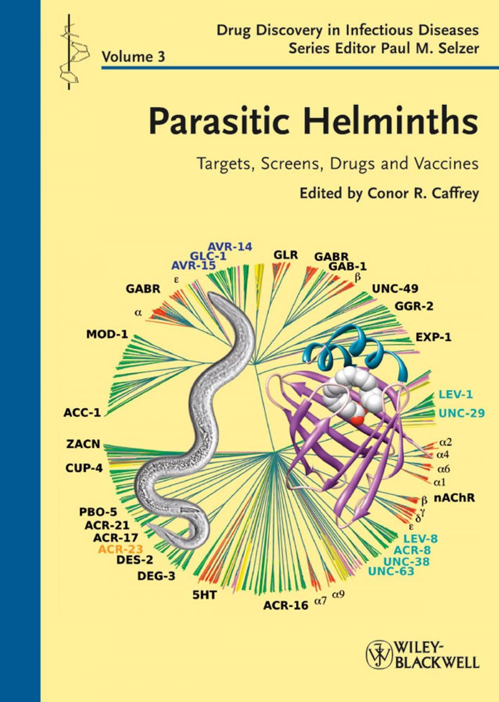 Big bigCover of Parasitic Helminths