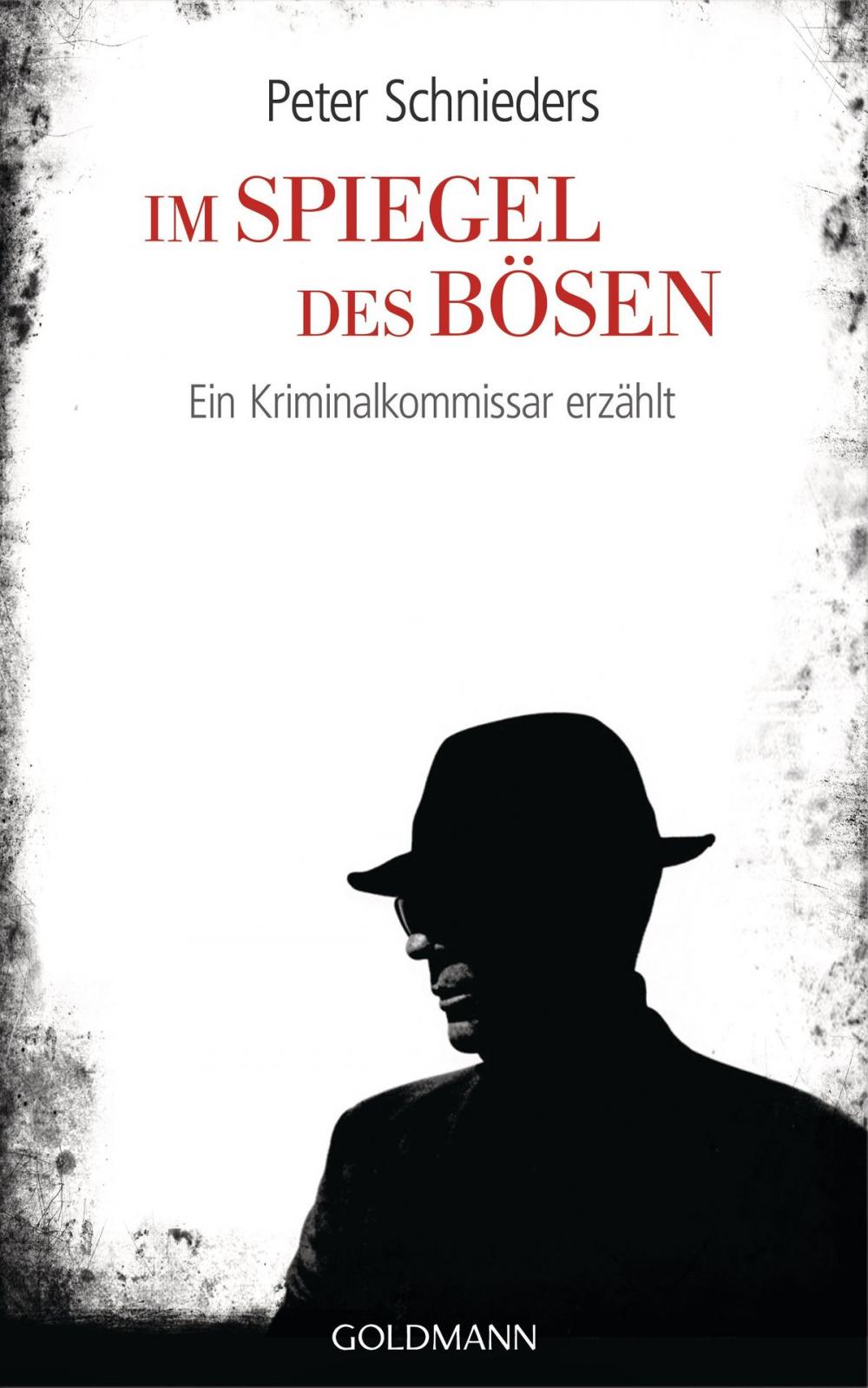 Big bigCover of Im Spiegel des Bösen