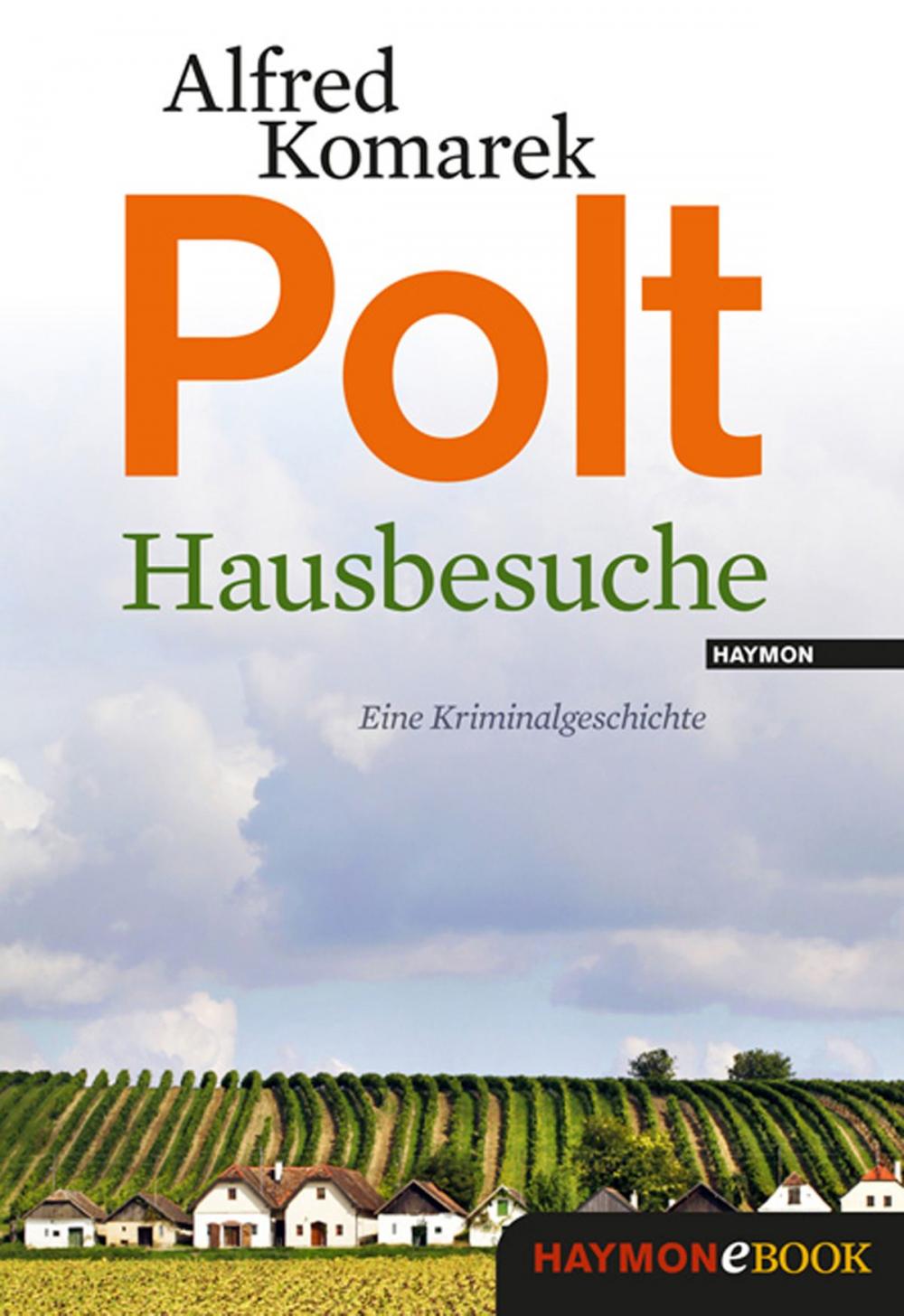 Big bigCover of Hausbesuche