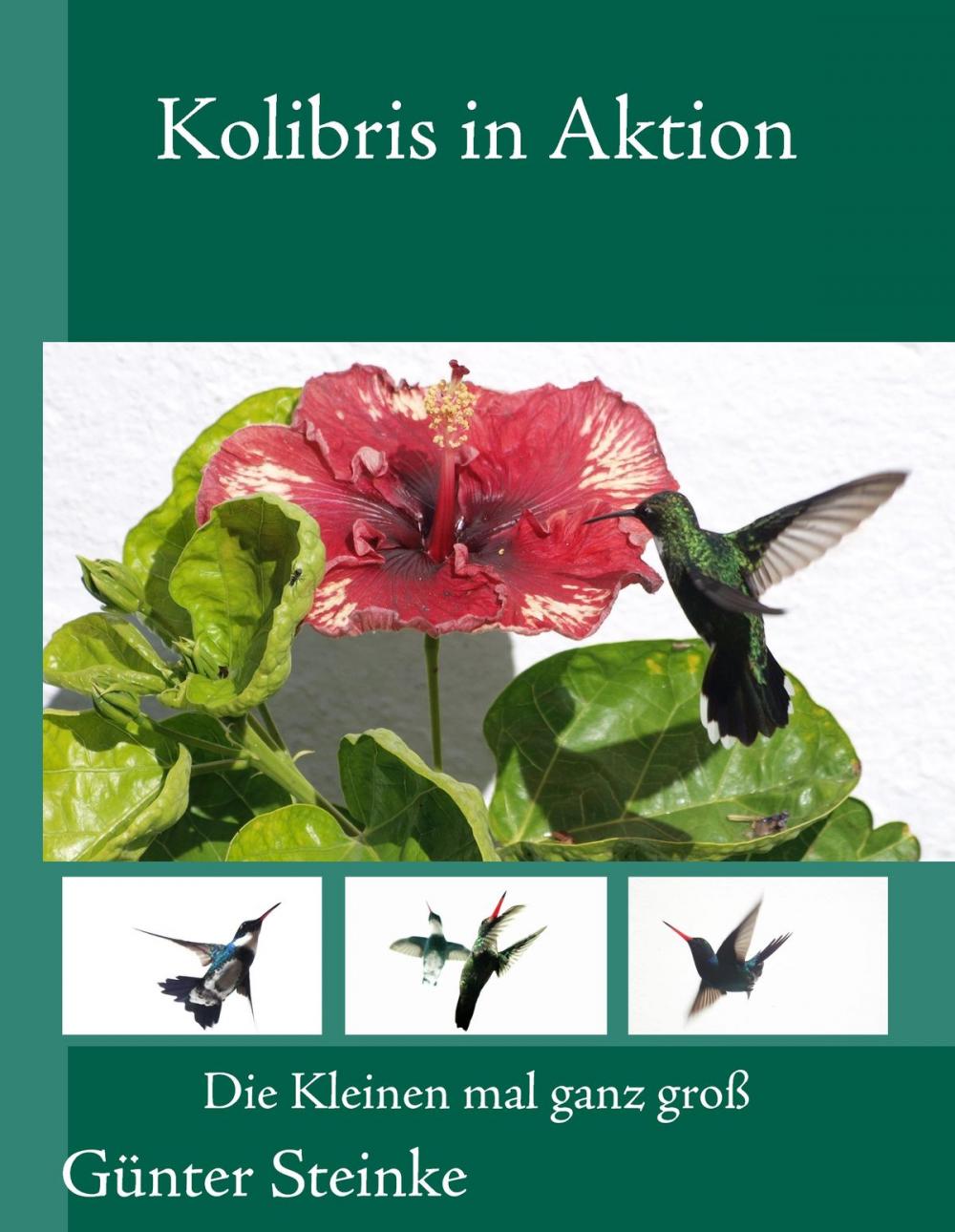 Big bigCover of Kolibris in Aktion