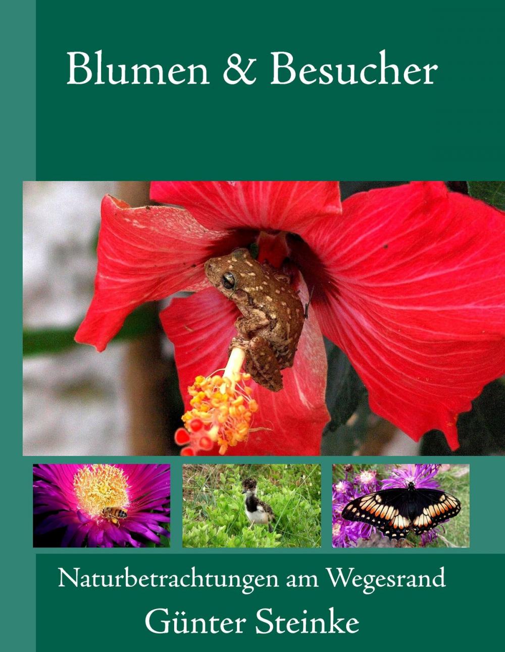 Big bigCover of Blumen & Besucher