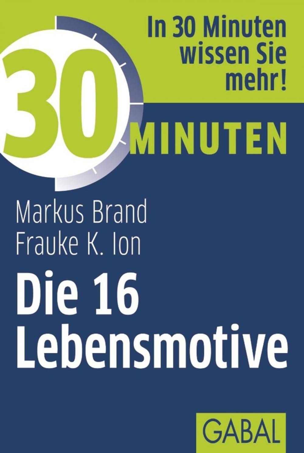 Big bigCover of 30 Minuten Die 16 Lebensmotive