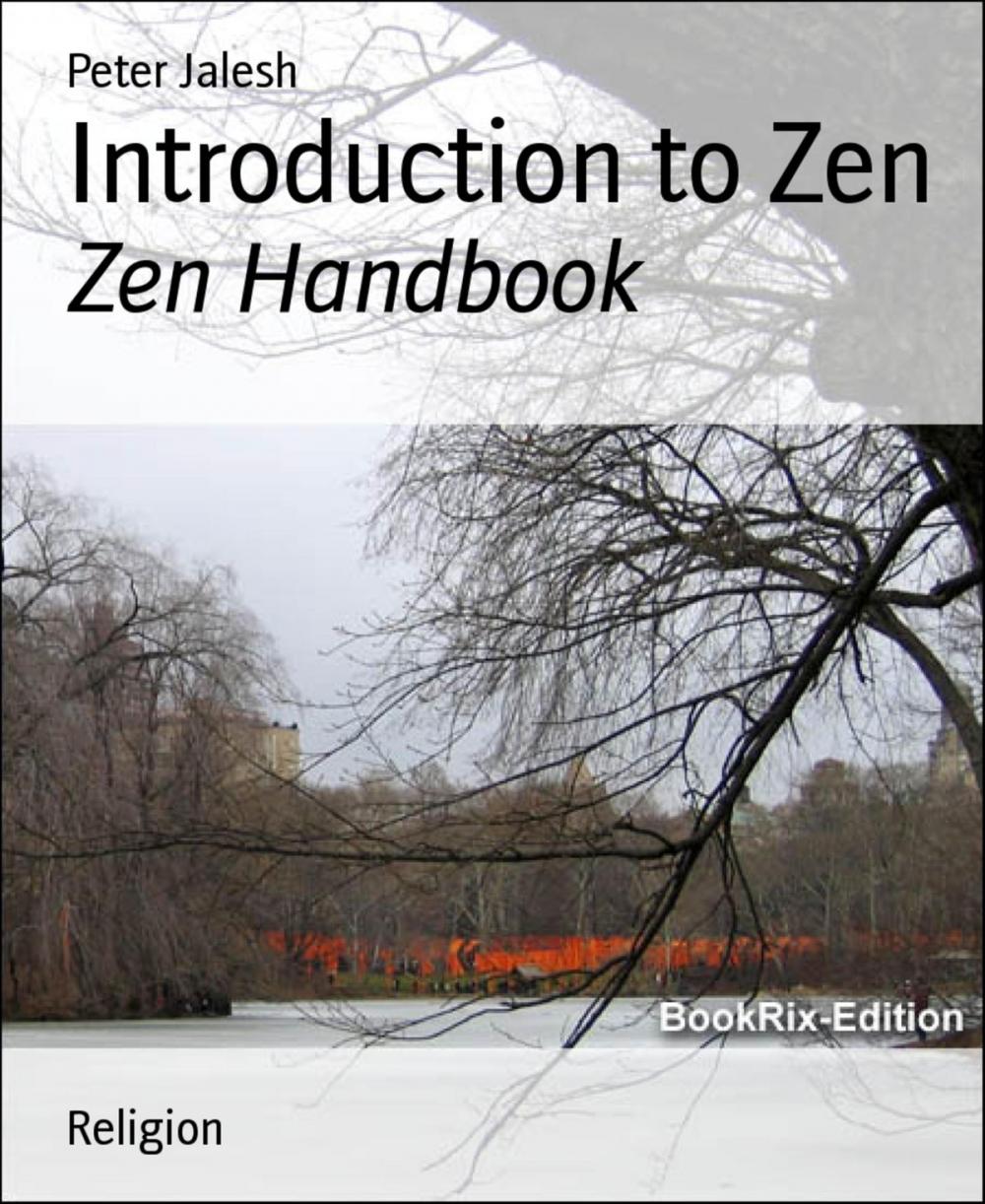 Big bigCover of Introduction to Zen