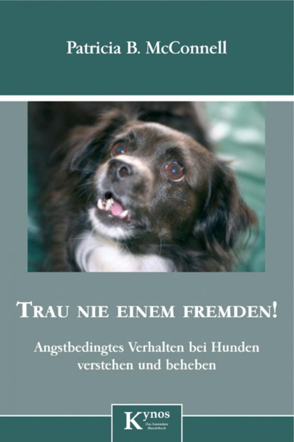 Big bigCover of Trau nie einem Fremden!