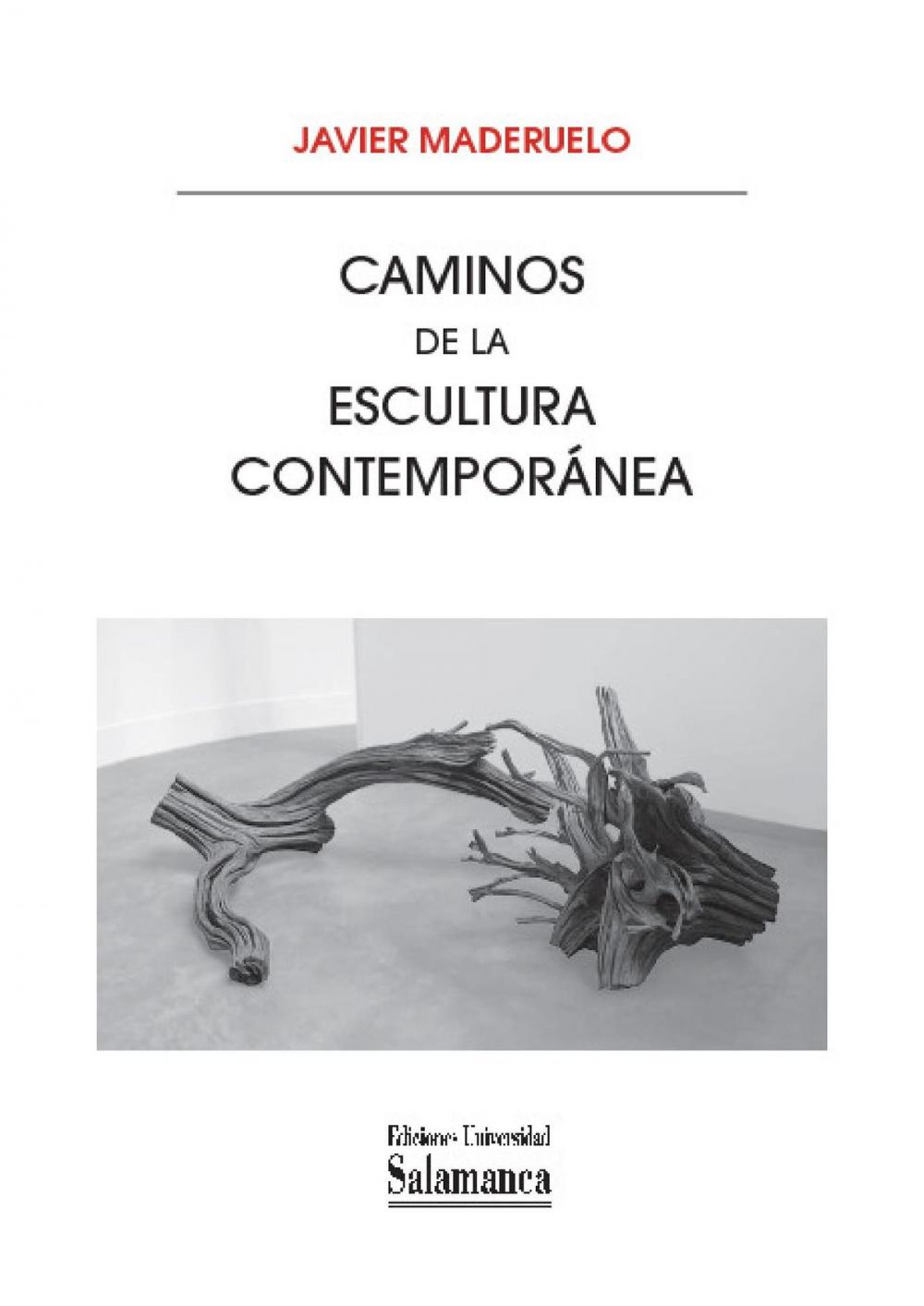 Big bigCover of Caminos de la escultura contemporánea