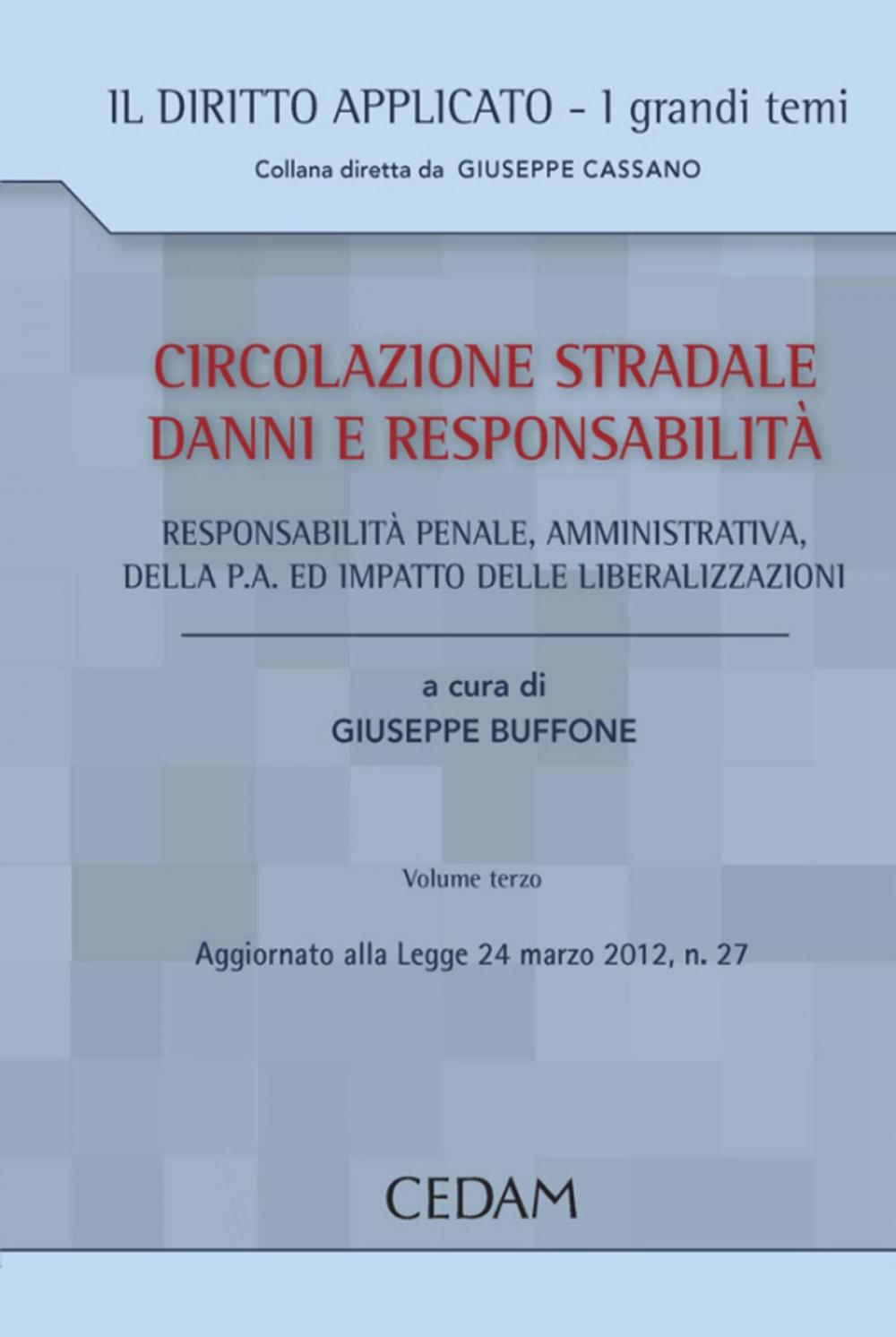 Big bigCover of Circolazione stradale, danni e responsabilità civile. Volume III