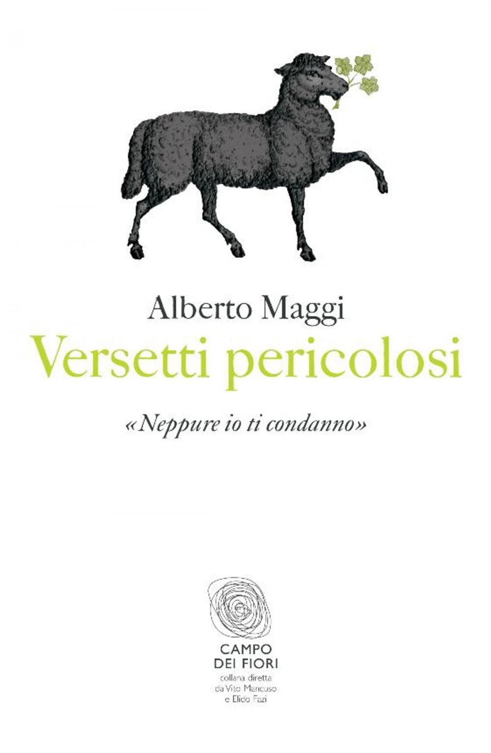 Big bigCover of Versetti pericolosi