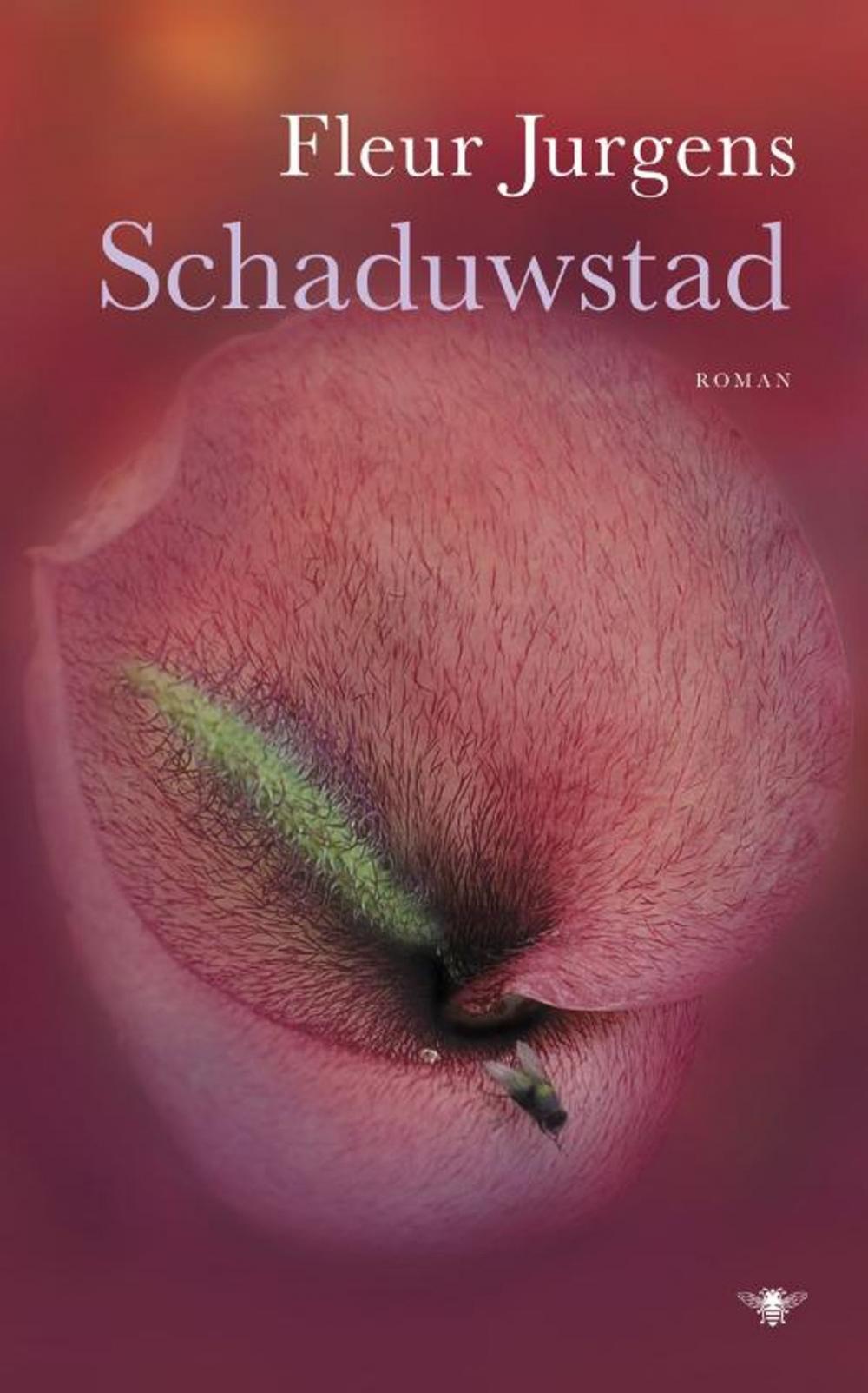 Big bigCover of Schaduwstad