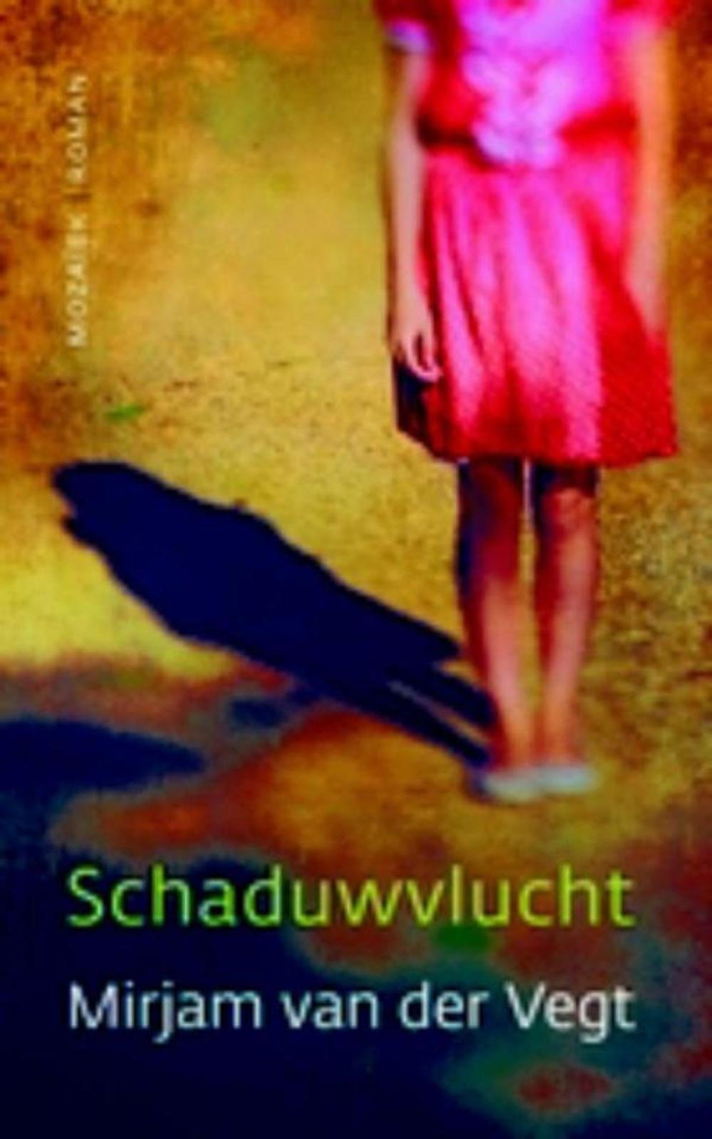 Big bigCover of Schaduwvlucht