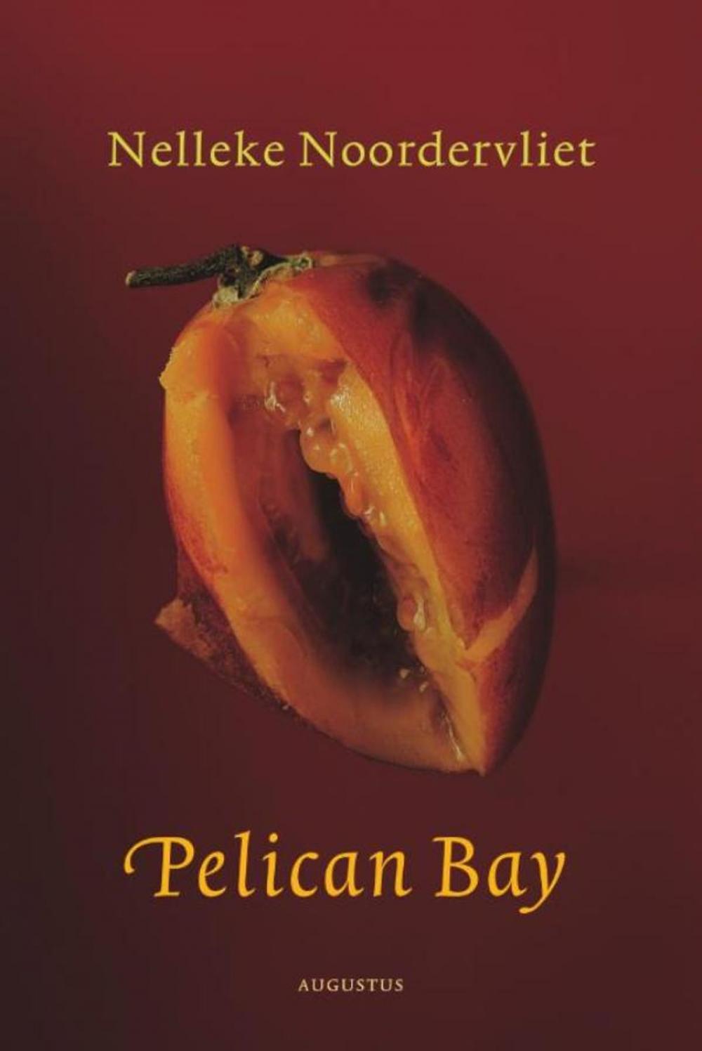 Big bigCover of Pelican bay