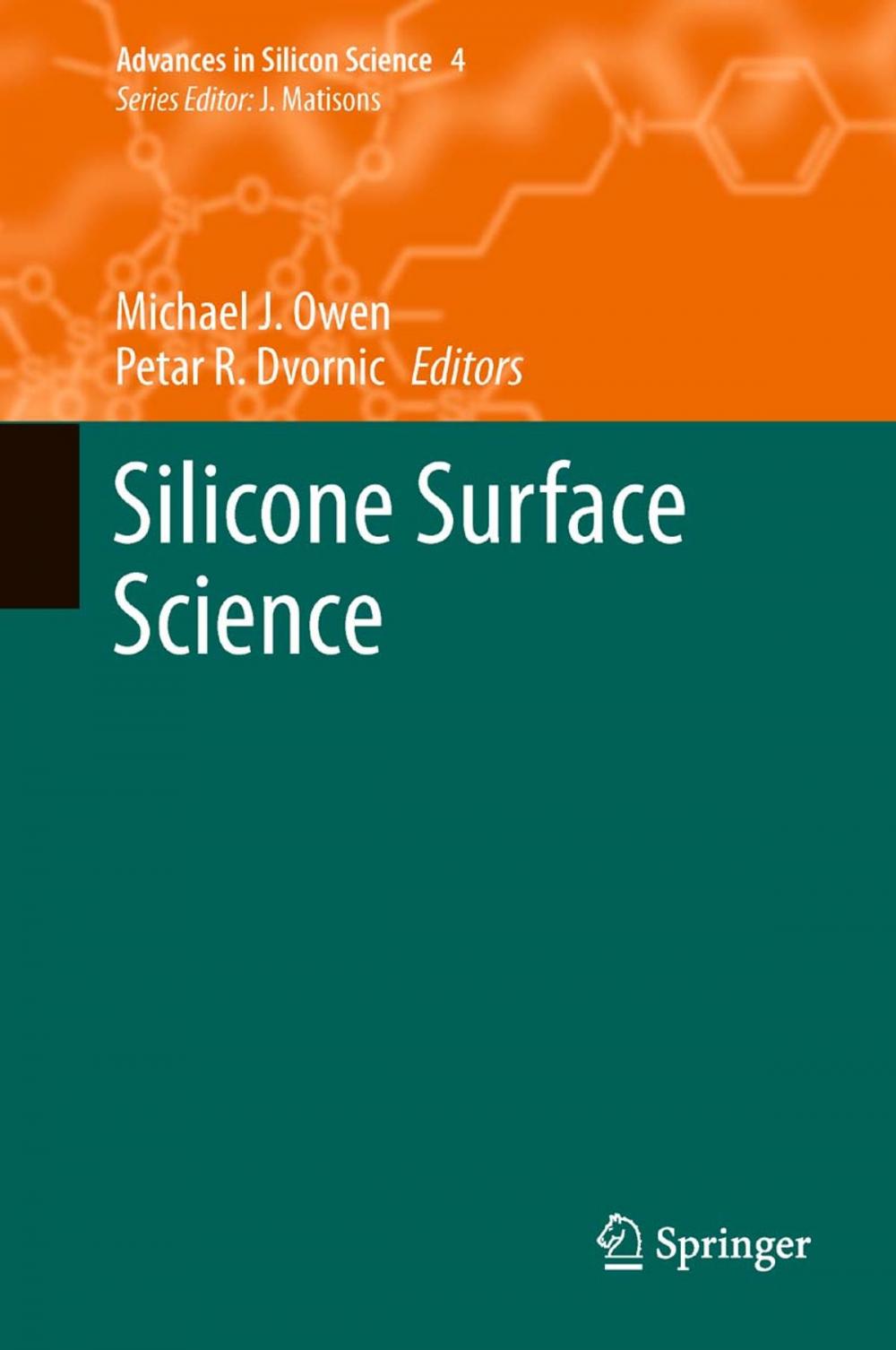 Big bigCover of Silicone Surface Science