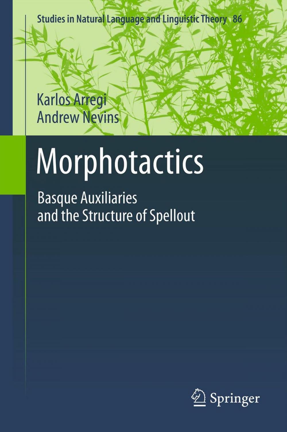 Big bigCover of Morphotactics