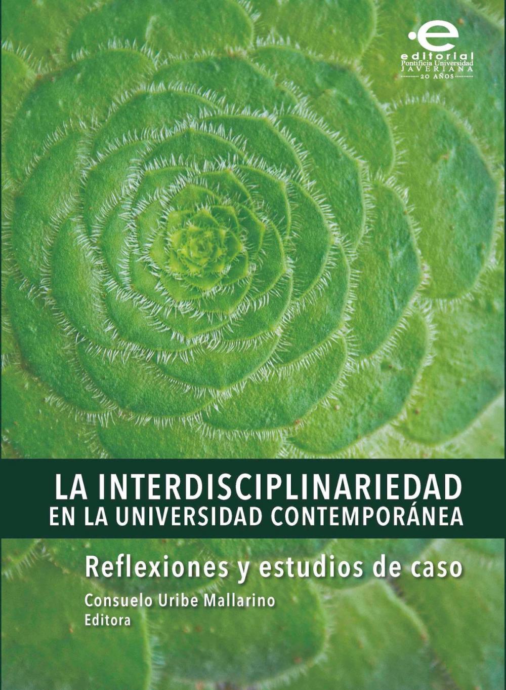 Big bigCover of La interdisciplinariedad en la universidad contemporánea