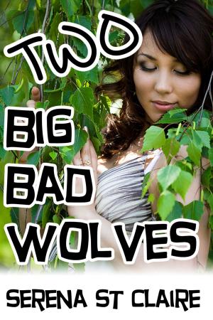 Cover of the book Two Big Bad Wolves by Frances Stockton