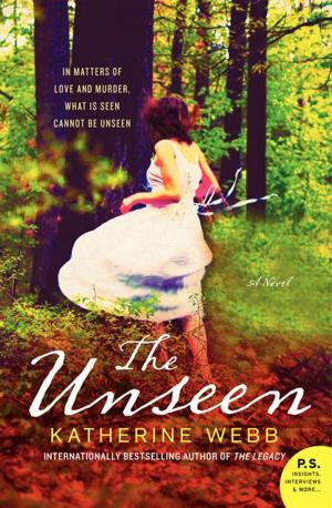 Cover of the book The Unseen by Liza Palmer