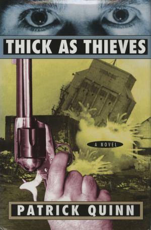 Book cover of Thick As Thieves