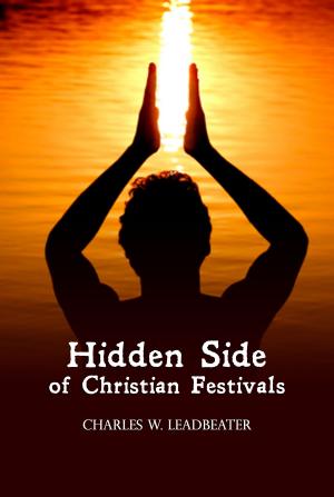 Cover of Hidden Side of Christian Festivals