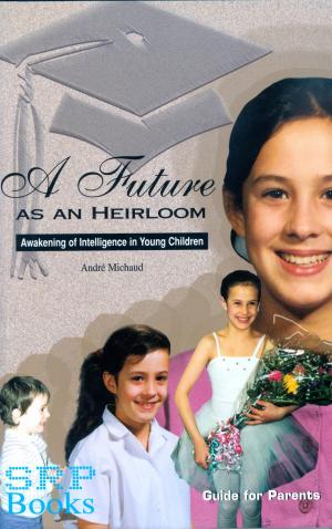 Cover of the book A Future as an Heirloom by Howard Binkow