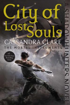 Book cover of City of Lost Souls