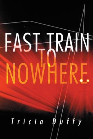 Cover of the book Fast Train to Nowhere by Shirley J. Wenrich