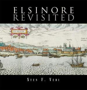 Cover of the book Elsinore Revisited by Shafii A. Ndanusa MBA ACCA