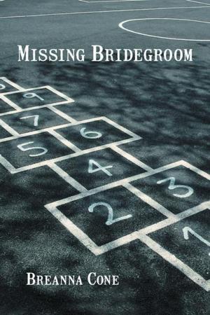 Cover of the book Missing Bridegroom by C L Hutchins