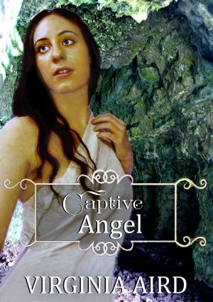 Cover of the book Captive Angel by Kasey Michaels