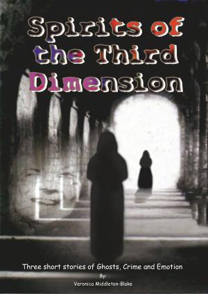 Cover of the book Spirits of the Third Dimension by Daniel Fite