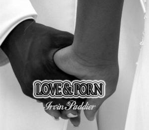 bigCover of the book love & porn by 