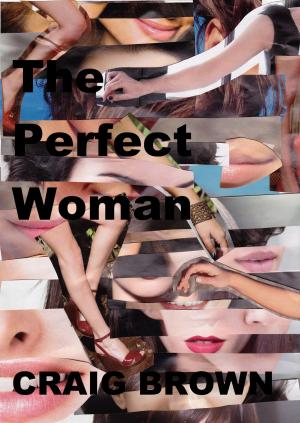 Cover of the book The Perfect Woman by Perry Mark Stratychuk