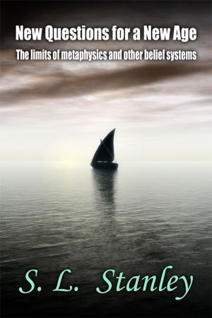 Cover of the book New Questions for a New Age: The limits of metaphysics and other belief systems by Okoli Stanley
