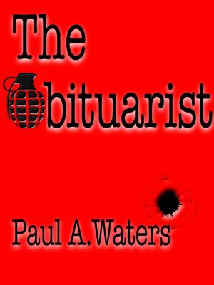 Book cover of The Obituarist