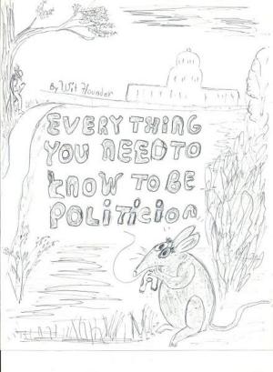 Cover of Everything You Need to Know to be a Politician