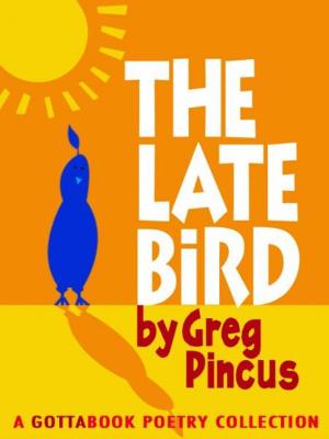 Cover of the book The Late Bird by Fiona M. Khan