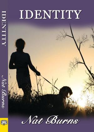 Cover of the book Identity by Elizabeth Hart