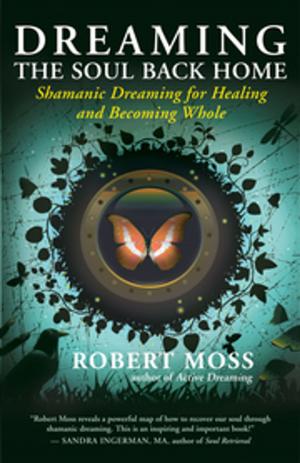 Cover of the book Dreaming the Soul Back Home by Matthew Dicks