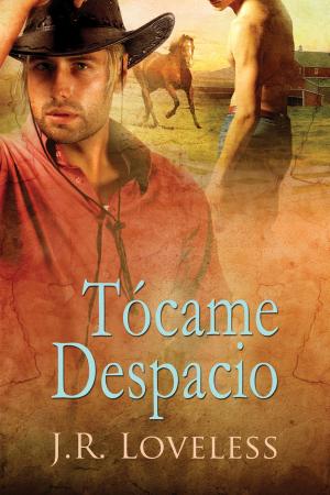 Cover of the book Tócame Despacio by John Inman